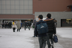 IMG_3831.jpg