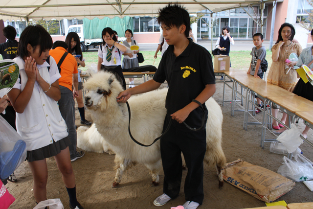 https://www.jhs.tohoku-gakuin.ac.jp/info/content/130905-1_02.jpg
