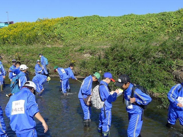 https://www.jhs.tohoku-gakuin.ac.jp/info/content/161115-6_1.jpg