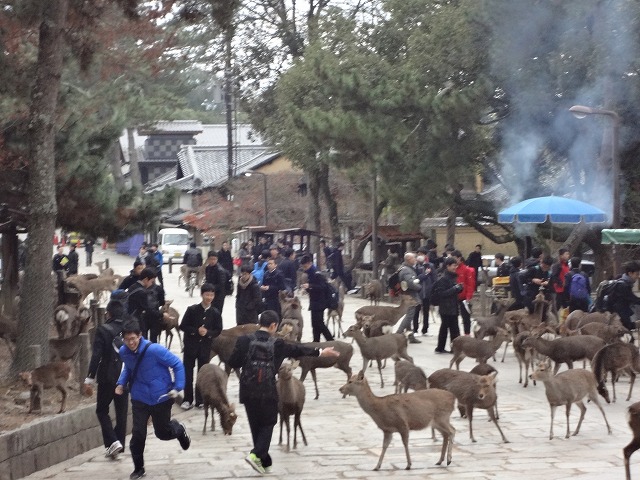 https://www.jhs.tohoku-gakuin.ac.jp/info/content/161228-6_4.jpg