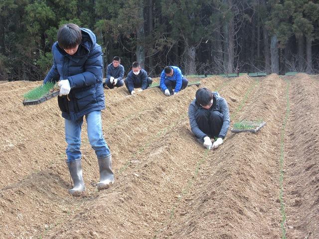 https://www.jhs.tohoku-gakuin.ac.jp/info/content/170404-4_5.jpg