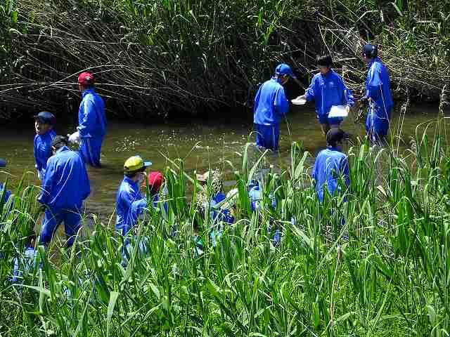 https://www.jhs.tohoku-gakuin.ac.jp/info/content/170531-4_2.jpg