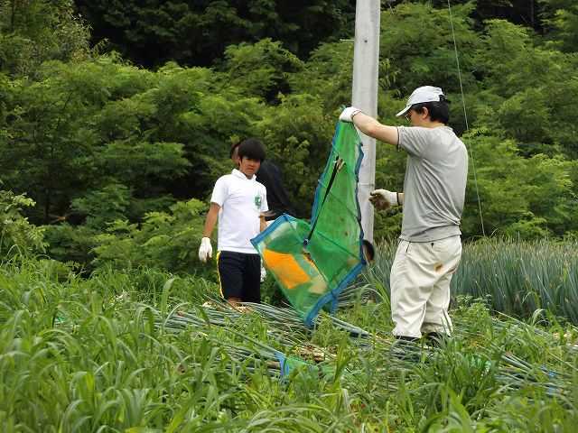 https://www.jhs.tohoku-gakuin.ac.jp/info/content/170731-2_6.jpg