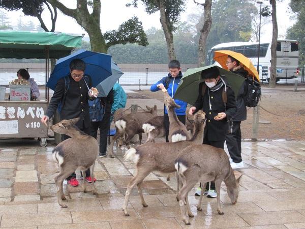 https://www.jhs.tohoku-gakuin.ac.jp/info/content/171226-1_16.jpg