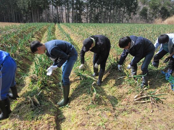 https://www.jhs.tohoku-gakuin.ac.jp/info/content/180402-2_2.jpg