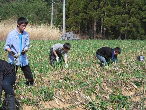 https://www.jhs.tohoku-gakuin.ac.jp/info/content/180402-2_3.jpg