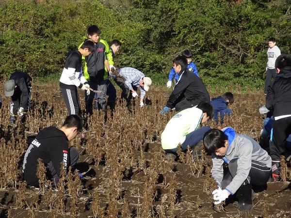 https://www.jhs.tohoku-gakuin.ac.jp/info/content/181026-1_3.jpg