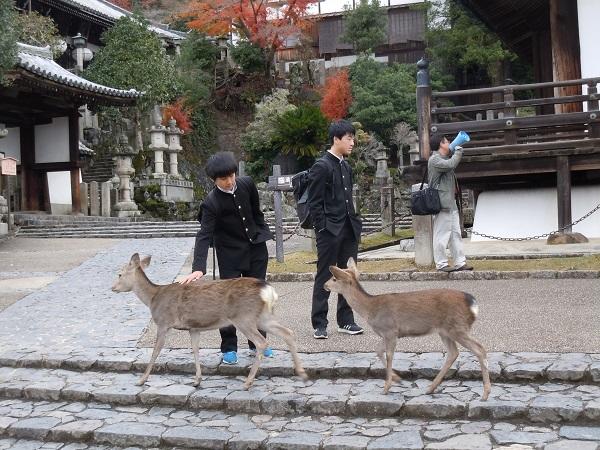 https://www.jhs.tohoku-gakuin.ac.jp/info/content/181228-2_11.jpg