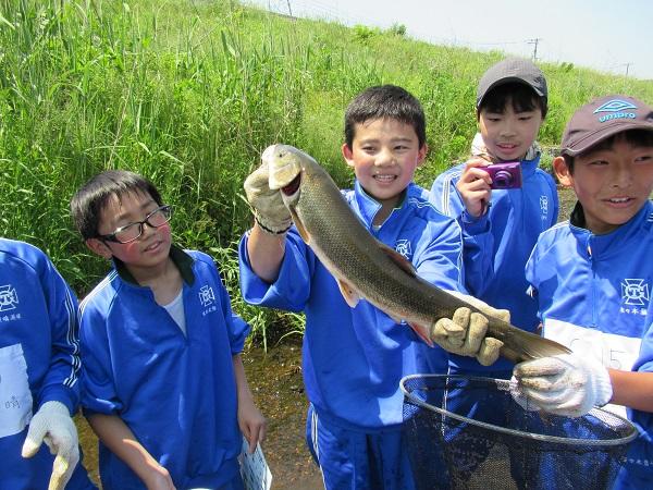 https://www.jhs.tohoku-gakuin.ac.jp/info/content/190531-1_5.jpg