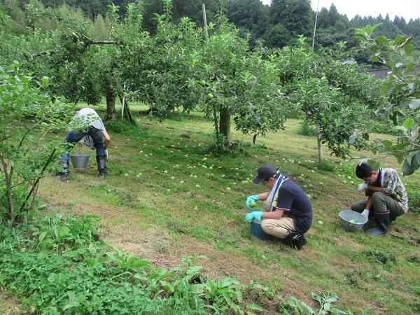 https://www.jhs.tohoku-gakuin.ac.jp/info/content/190823-2_10.jpg