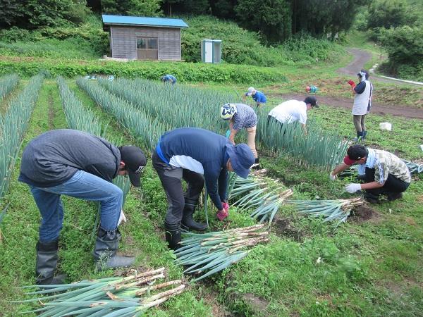 https://www.jhs.tohoku-gakuin.ac.jp/info/content/190823-2_4.jpg