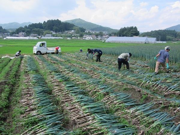 https://www.jhs.tohoku-gakuin.ac.jp/info/content/190823-2_5.jpg