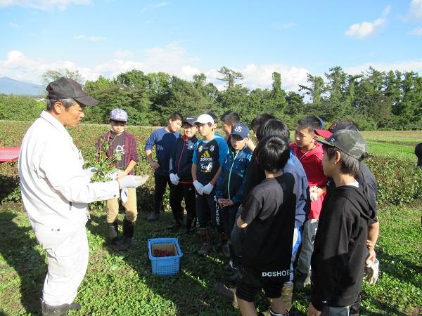 https://www.jhs.tohoku-gakuin.ac.jp/info/content/191029-1_4.jpg