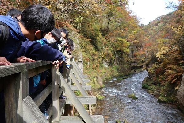 https://www.jhs.tohoku-gakuin.ac.jp/info/content/211108-2_1.jpg