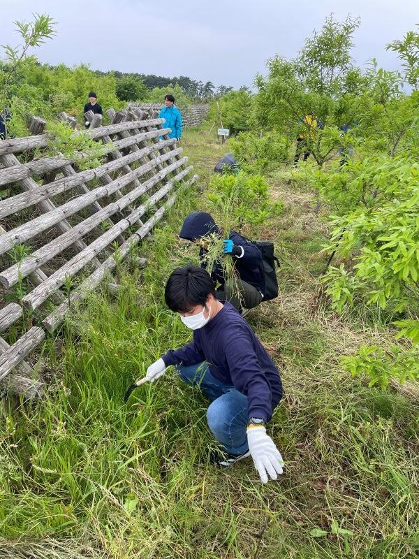 https://www.jhs.tohoku-gakuin.ac.jp/info/content/250529-7_2.JPG