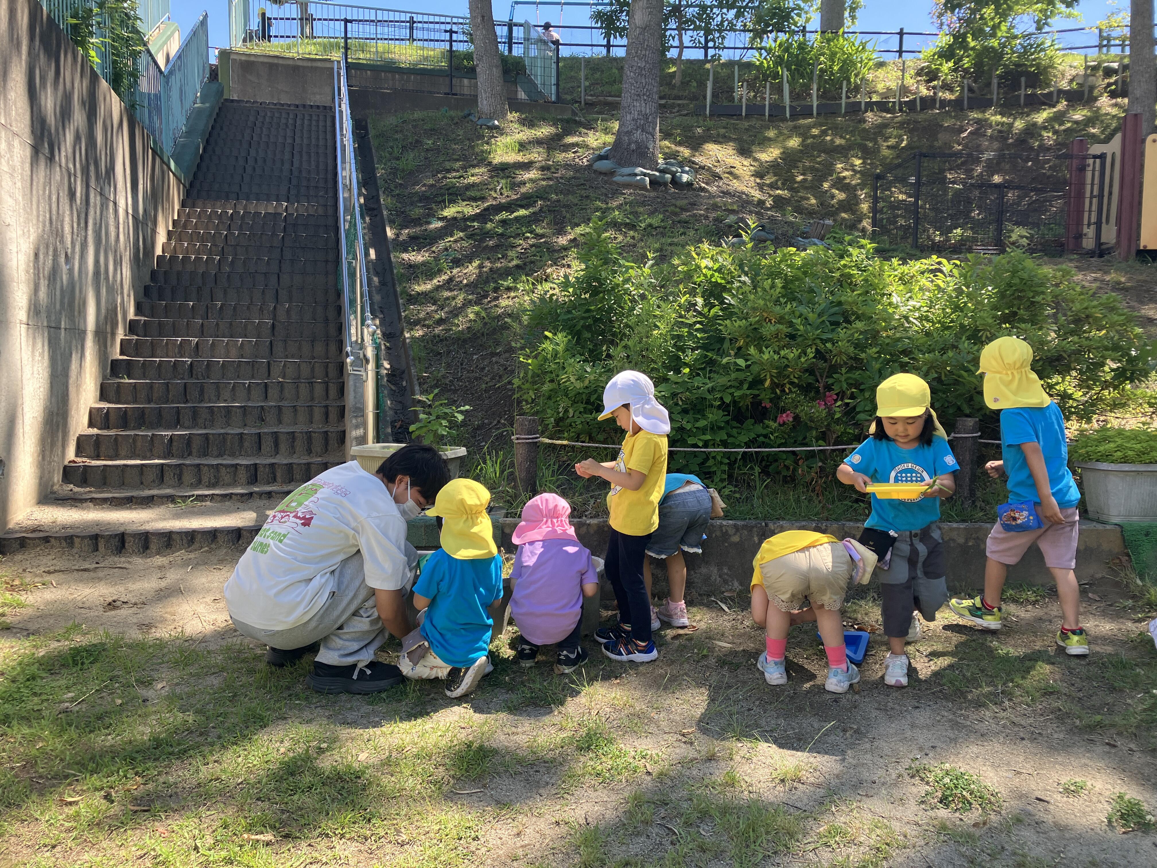 https://www.jhs.tohoku-gakuin.ac.jp/info/content/260616_13.JPG