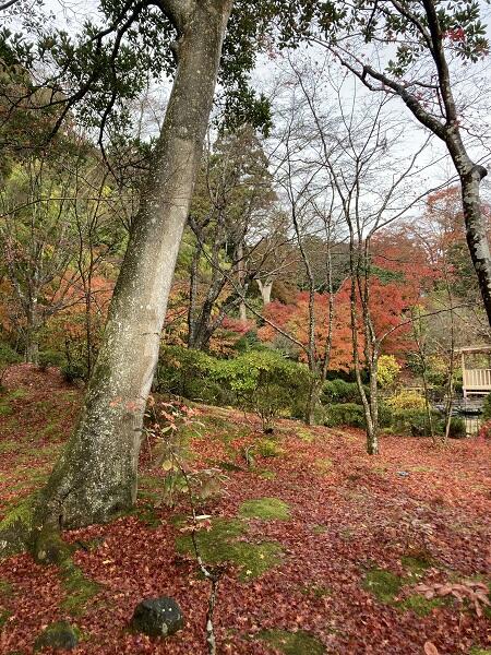 https://www.jhs.tohoku-gakuin.ac.jp/info/content/26dfb24d6e94c96aa6eeb57787ad102fefb81600.jpg