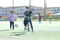 261031_5.JPG